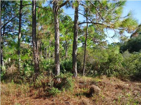 Photo of 1012 Porter St, Saint George Island, FL 32328 (MLS # 324664)