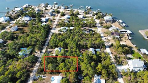 Photo of 315 Howell St, Saint George Island, FL 32328 (MLS # 326393)