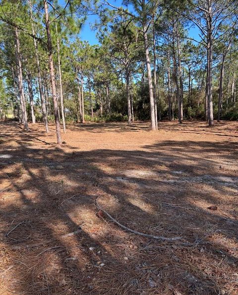 Photo of 115 Plover Ct, Carrabelle, FL 32323 (MLS # 322269)