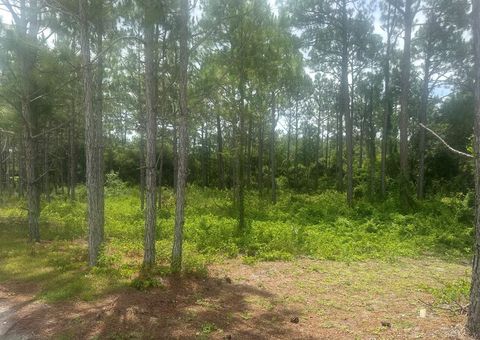 Photo of 115 Plover Ct, Carrabelle, FL 32323 (MLS # 322269)