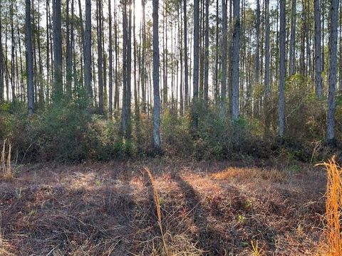 Photo of 12 Douglas Landing Rd, Wewahitchka, FL 32465 (MLS # 320726)
