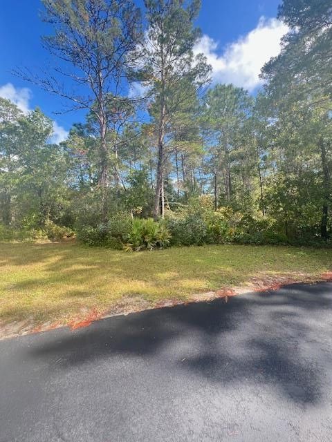 Photo of 1014 Sunset Cir, Carrabelle, FL 32322 (MLS # 324586)