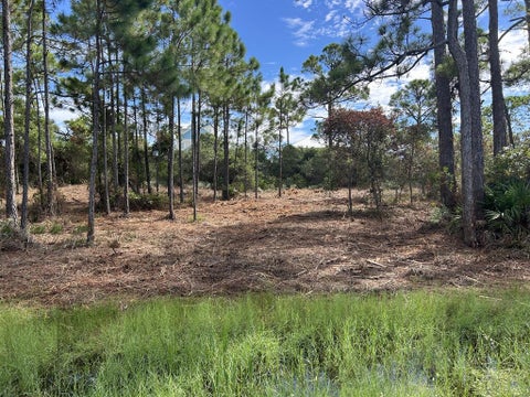 Photo of 392 Cape San Blas Rd, Port Saint Joe, FL 32456 (MLS # 328121)