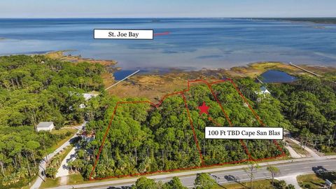 Photo of TBD Cape San Blas Rd, Port Saint Joe, FL 32456 (MLS # 324319)