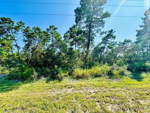 Photo of 182 Airport Rd, Carrabelle, FL 32322 (MLS # 325163)