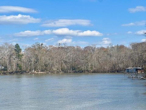 Photo of 2377 Chipola River, Wewahitchka, FL 32465 (MLS # 326370)