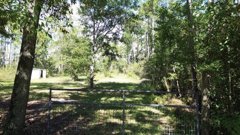 Photo of 6795 Larimore St, Wewahitchka, FL 32465 (MLS # 329674)