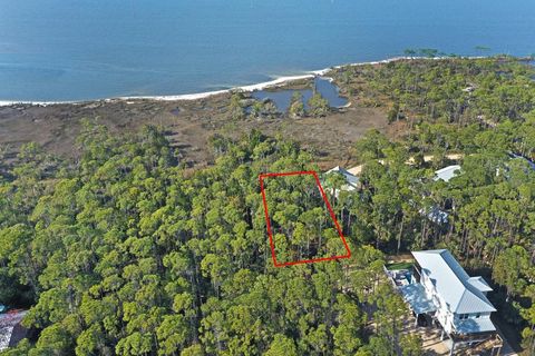 Photo of 578 E Bay Shore Dr, Saint George Island, FL 32328 (MLS # 316648)