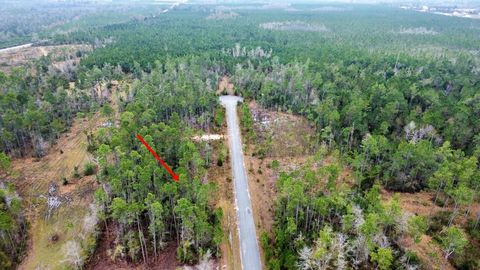 Photo of Lot 9 Jazzy Lane, Wewahitchka, FL 32465 (MLS # 325027)