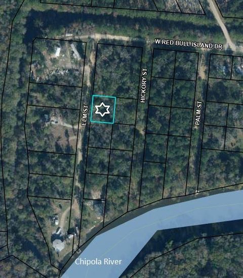 Photo of 136 Elm St, Wewahitchka, FL 32465 (MLS # 324469)