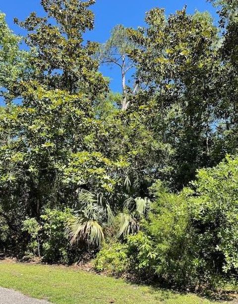 Photo of 135 Water Oaks Way, Apalachicola, FL 32320 (MLS # 323979)