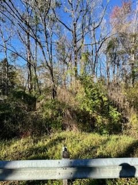 Photo of 115 Rose St, Sopchoppy, FL 32358 (MLS # 326582)