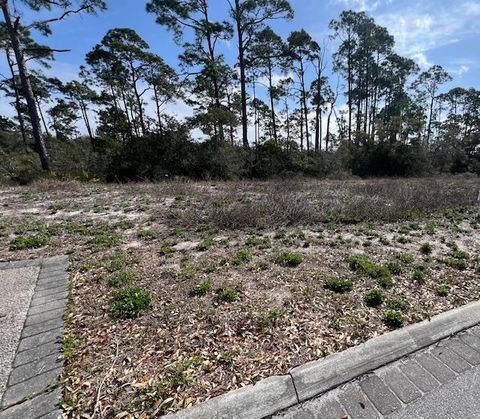 Photo of 502 Tide Water Dr, Port Saint Joe, FL 32456 (MLS # 321142)
