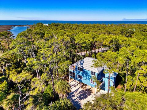 Photo of 1856 W Suzie Ct, Saint George Island, FL 32328 (MLS # 325234)