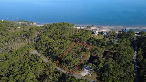 Photo of 147 Bay Magnolia Ln, Carrabelle, FL 32322 (MLS # 327885)