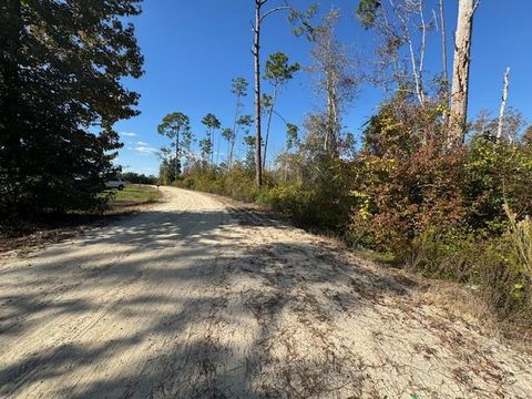 Photo of Lot 2 McClellan St SE, Kinard, FL 32449 (MLS # 324500)