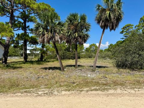 Photo of 989 W Bay Shore Dr, Saint George Island, FL 32328 (MLS # 324080)