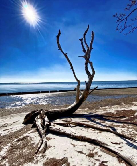 Photo of 5 Indian Mounds Dr, Eastpoint, FL 32328 (MLS # 324460)