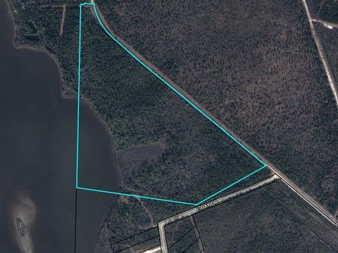 Photo of TBD Pleasant Rest Rd, Wewahitchka, FL 32465 (MLS # 328077)
