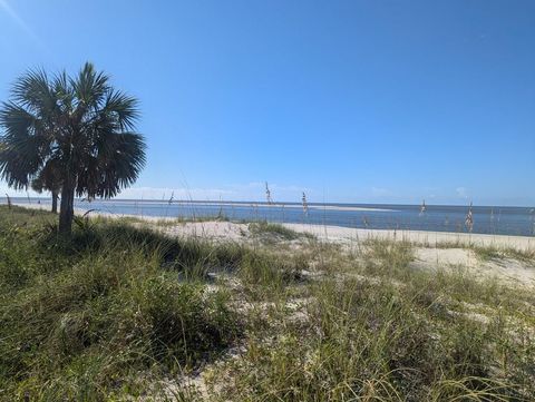 Photo of 178 Redbird St, Port Saint Joe, FL 32456 (MLS # 327827)