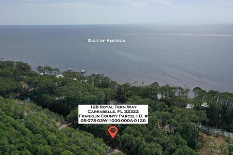 Photo of 128 Royal Tern Way, Carrabelle, FL 32322 (MLS # 324136)