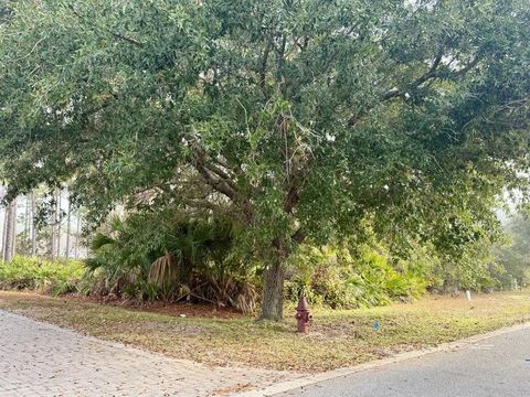 Photo of 117 Crane Dr, Port Saint Joe, FL 32456 (MLS # 324620)