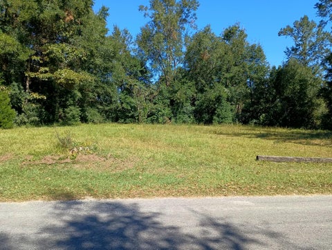 Photo of 247 Pine Ave, Wewahitchka, FL 32465 (MLS # 329774)