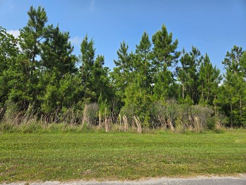 Photo of Lot 68 Wide Water Cir, Wewahitchka, FL 32465 (MLS # 320799)