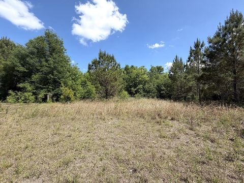 Photo of 5581 Hwy 71 S, Wewahitchka, FL 32465 (MLS # 328269)