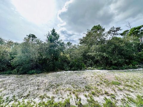 Photo of 158 Singleleaf Rd, Eastpoint, FL 32328 (MLS # 320572)