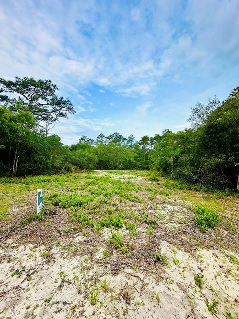 Photo of 117 Spoonbill Ct, Carrabelle, FL 32323 (MLS # 325245)