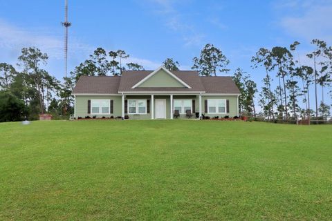 Photo of 198 Peacock Ln, Wewahitchka, FL 32465 (MLS # 325024)