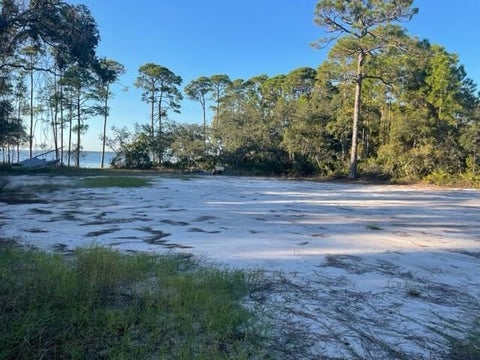 Photo of 297 Magnolia Bay Dr, Eastpoint, FL 32328 (MLS # 329224)