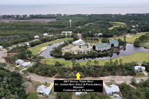 Photo of 397 Royal Tern Way, Carrabelle, FL 32322 (MLS # 324140)