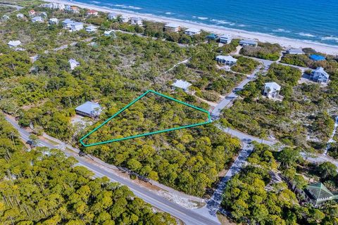 Photo of 1604 Forsythia Way, Saint George Island, FL 32328 (MLS # 327994)