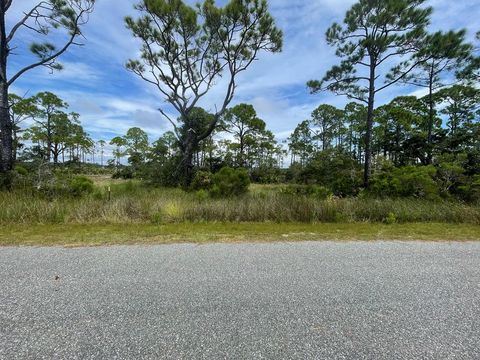 Photo of 223 Hidden Harbor Dr, Alligator Point, FL 32346 (MLS # 323849)