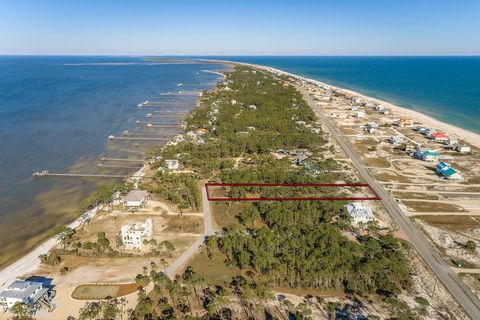Photo of 1187 Russell Way, Saint George Island, FL 32328 (MLS # 324298)