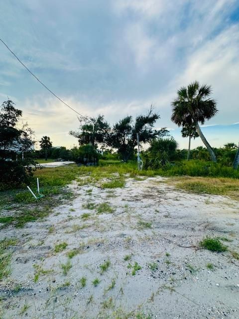 Photo of 135 Desoto St, Port Saint Joe, FL 32456 (MLS # 324024)