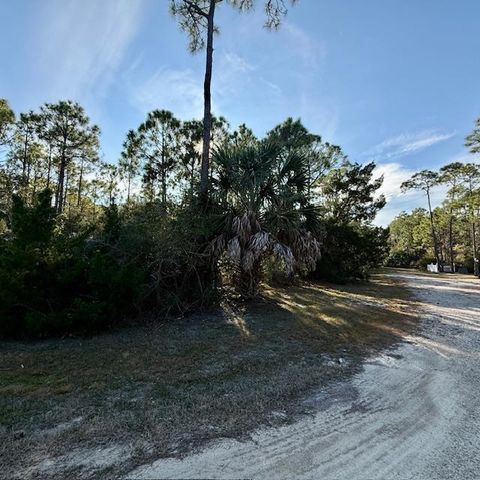 Photo of 1259 E Gulf Beach Dr, Saint George Island, FL 32328 (MLS # 323761)