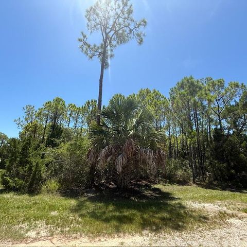 Photo of 1259 E Gulf Beach Dr, Saint George Island, FL 32328 (MLS # 323761)