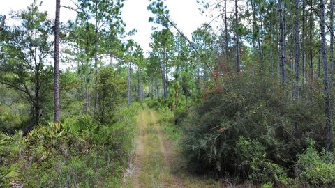 Photo of 151 Al's Landing, Eastpoint, FL 32328 (MLS # 324286)