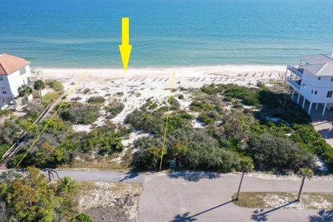 Photo of 2116 Sea Fern Way, Saint George Island, FL 32328 (MLS # 328656)