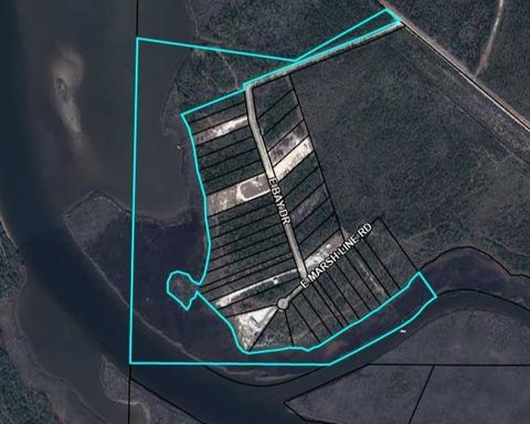 Photo of TBD Pleasant Rest Rd, Wewahitchka, FL 32465 (MLS # 328078)