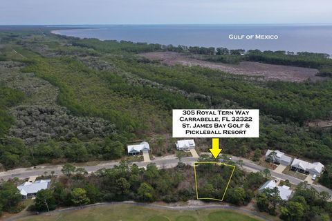 Photo of 305 Royal Tern Way, Carrabelle, FL 32322 (MLS # 324138)