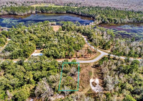 Photo of Lot 16 Little River Cir, Wewahitchka, FL 32465 (MLS # 320802)