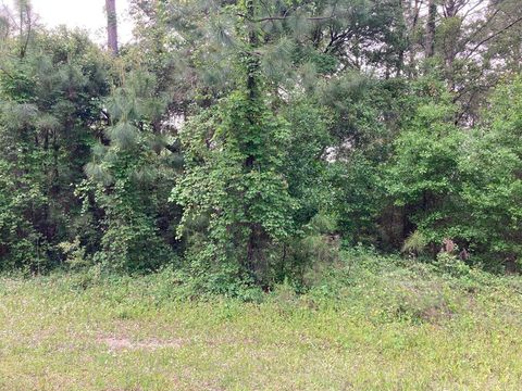 Photo of 6 Bluewater Bay Cir, Carrabelle, FL 32322 (MLS # 324607)