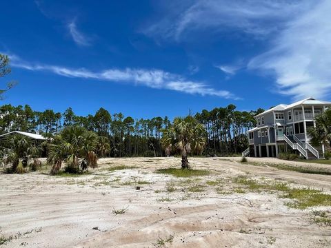 Photo of 7797 Cr 30-A, Port Saint Joe, FL 32456 (MLS # 324715)