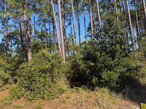 Photo of 3465 Firefly Cir, St. Teresa, FL 32358 (MLS # 329784)