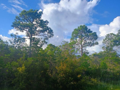 Photo of 368 Ridgecrest Pkwy, Eastpoint, FL 32328 (MLS # 329490)