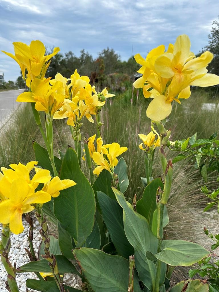 Port St. Joe, Florida, 32456, United States, 3 Bedrooms Bedrooms, ,4 BathroomsBathrooms,Residential,Active,1952399